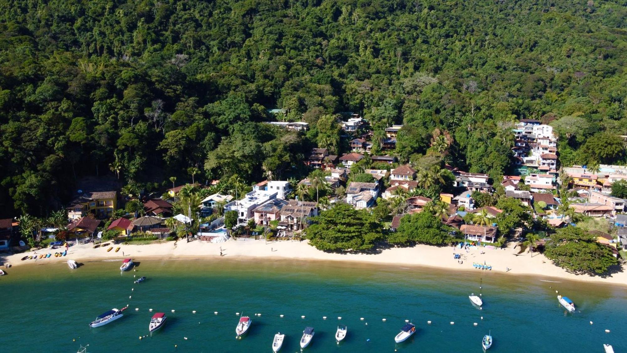 Homestay Atlantic Forest